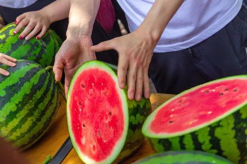 免费吃瓜聚集地,畅享娱乐盛宴的绝佳去处  第1张