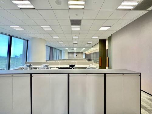 肉鸡背影爆料视频大全集,揭秘幕后真相与感人瞬间  第3张