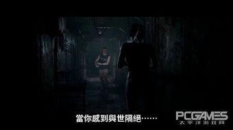 恐怖黑料爆料大全视频播放,视频播放背后的惊悚真相  第2张